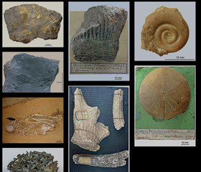 Crédits photographiques des collections géologiques