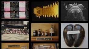 Crédits photographiques des collections d'herbiers