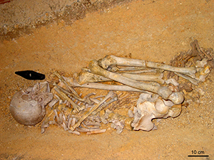 L’Homme de Tancoigné