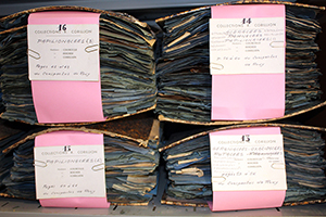 Classeurs d'herbiers