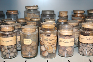 Flacons de noix diverse